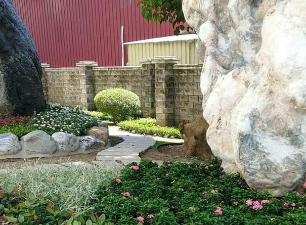彰化園藝 平價樹木買賣、專業園藝團隊 - 綠水青山園藝造景 活動照片